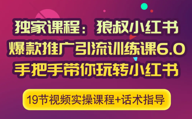 狼叔小红书爆款推广引流训练课6.0，手把手带你玩转小红书-大东资源库