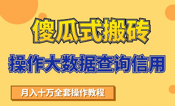 搬砖操作大数据查询信用项目赚钱教程，祝你快速月入6万-大东资源库