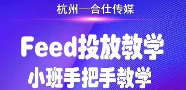 合仕传媒Feed投放教学，手把手教学，开车烧钱必须自己会-大东资源库