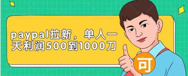 Paypal拉新赚美刀项目，单人一天利润500-1000刀【视频课程】-大东资源库
