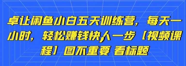 卓让闲鱼小白五天训练营，每天一小时，轻松赚钱快人一步-大东资源库