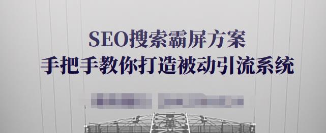 SEO搜索霸屏方案，手把手教你打造被动引流系统【视频课程】-大东资源库