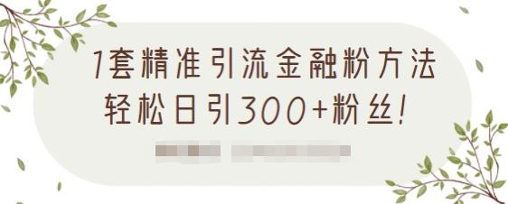 1套精准引流金融粉方法，轻松日引300+粉丝-大东资源库