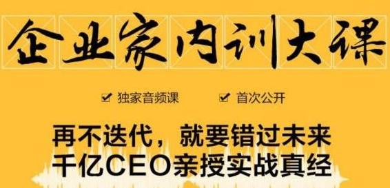 企业家内训大课，未来企业必学经验，价值1299元-大东资源库