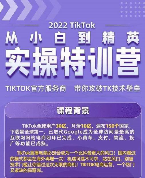Seven漆·2022Tiktok从小白到精英实操特训营，带你掌握Tiktok账号运营-大东资源库