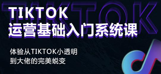 Tiktok实操进阶课程，体验从tiktok小透明到大佬的完美蜕变-大东资源库