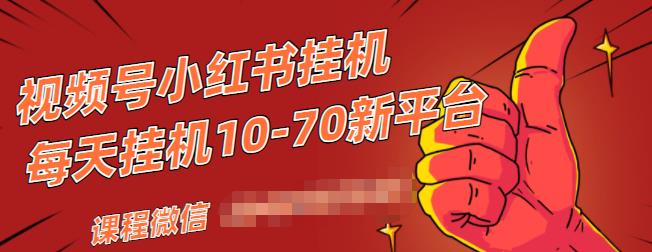视频号小红书抖音挂机项目，小白无脑操作，按照要求来，单号每天几十米-大东资源库