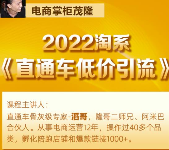 茂隆2022直通车低价引流玩法，教大家如何低投入高回报的直通车玩法-大东资源库