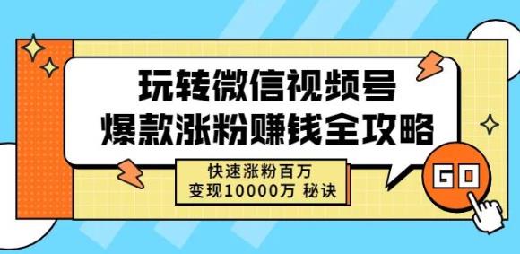 玩转微信视频号爆款涨粉赚钱全攻略，快速涨粉百万变现万元秘诀-大东资源库