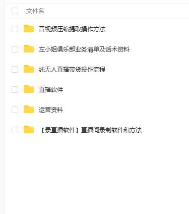左小姐-直播带货俱乐部十三行、无人直播，全套教程附：工具、文档、话术资料-大东资源库