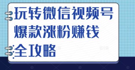 玩转微信视频号爆款涨粉赚钱全攻略，让你快速抓住流量风口，收获红利财富-大东资源库