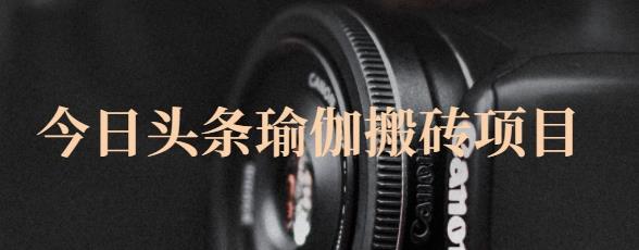 猎人社区·今日头条瑜伽搬砖项目，单号一天几十收入，可以批量操作！-大东资源库