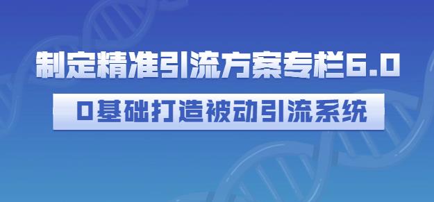 制定精准引流方案专栏6.0，0基础打造被动引流系统-大东资源库