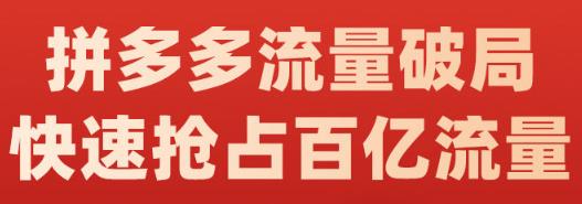 阿杰·拼多多流量破局:如何打黑标，爆款的思路，拼多多流量框架，快速抢占百亿流量-大东资源库