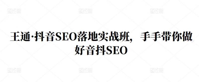 王通·抖音SEO落地实战班,手手带你做好音抖SEO-大东资源库