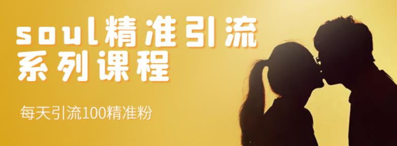 soul精准引流系列课程,每天引流100精准粉-大东资源库