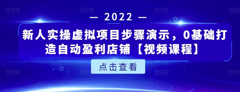 新人实操虚拟项目步骤演示，0基础打造自动盈利店铺【视频课程】-大东资源库