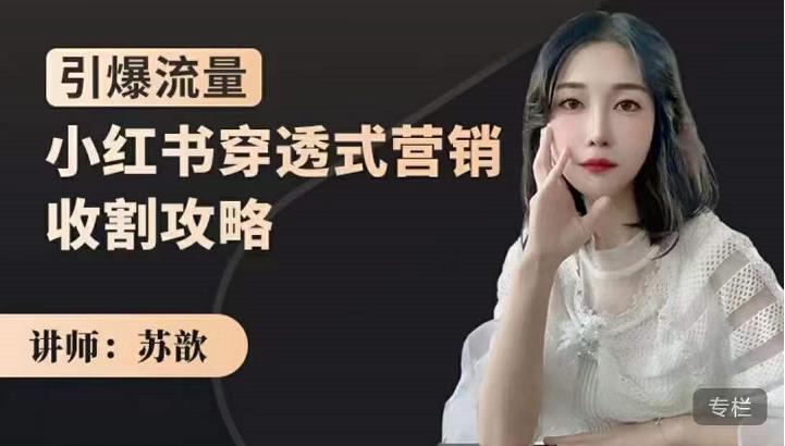 苏歆：小红书穿透式营销收割攻略，引爆流量，助你玩转小红书-大东资源库