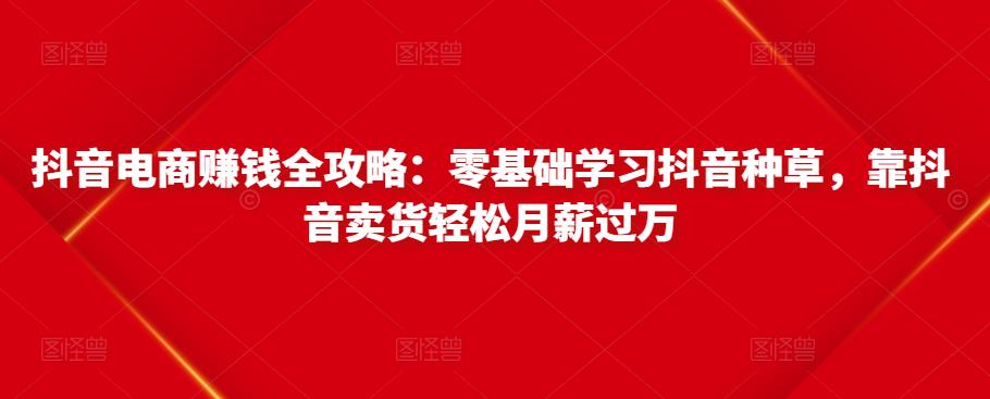 抖音电商赚钱全攻略：零基础学习抖音种草，靠抖音卖货轻松月薪过万-大东资源库