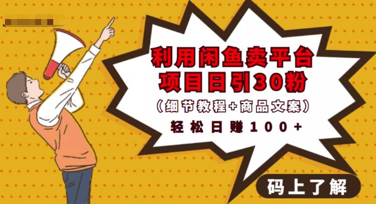 利用闲鱼卖平台项目课程资源日引流30+精准粉丝，轻松日赚100+，积累人脉可实现二次变-大东资源库