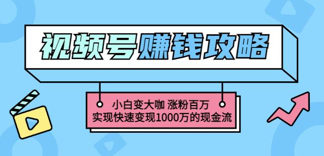 玩转微信视频号赚钱：小白变大咖涨粉百万实现快速变现1000万的现金流-大东资源库