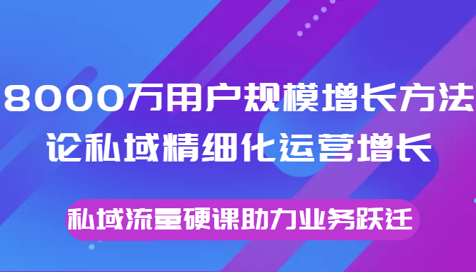 8000万用户规模增长方法论私域精细化运营增长，私域流量硬课助力业务跃迁-大东资源库