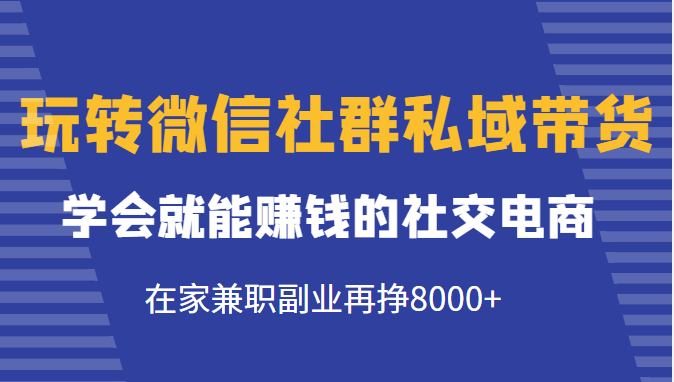 玩转微信社群私域带货，学会就能赚钱的社交电商，在家兼职副业再挣8000+-大东资源库