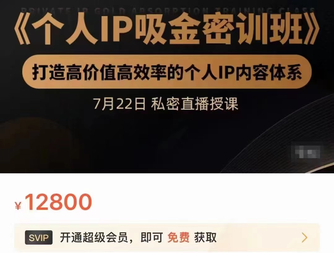 个人IP吸金密训班，打造高价值高效率的个人IP内容体系（价值12800元）-大东资源库