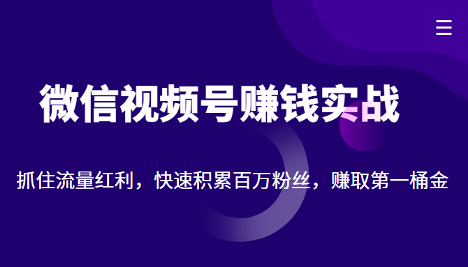 微信视频号赚钱实战：抓住流量红利，快速积累百万粉丝，赚取你的第一桶金-大东资源库