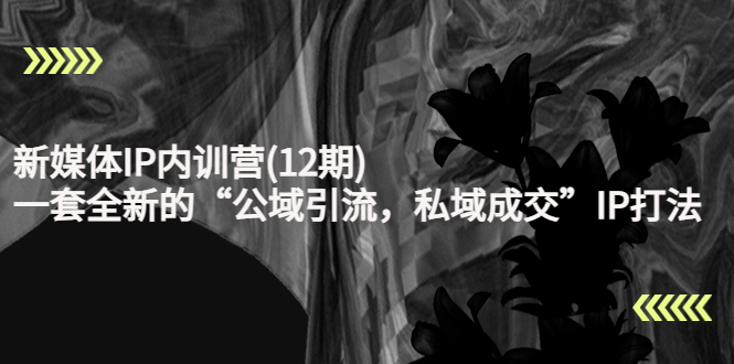 新媒体IP内训营(12期)，一套全新的“公域引流，私域成交”IP打法，直接带走-大东资源库