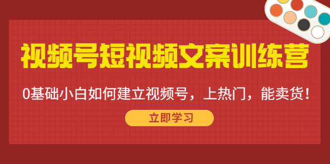 视频号短视频文案训练营：0基础小白如何建立视频号，上热门，能卖货！-大东资源库