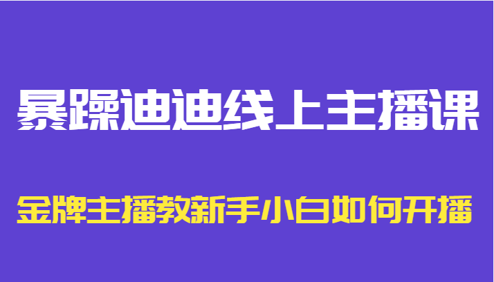 暴躁迪迪线上主播课，金牌主播教新手小白如何开播-大东资源库