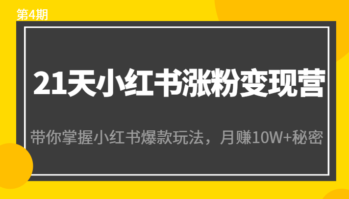 21天小红书涨粉变现营（第4期）：带你掌握小红书爆款玩法，月赚10W+秘密-大东资源库