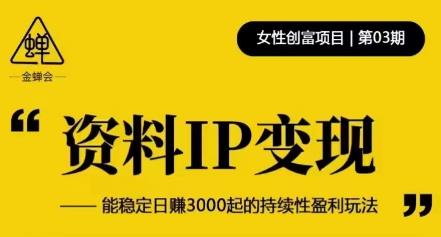 资料IP变现，能稳定日赚3000起的持续性盈利玩法-大东资源库