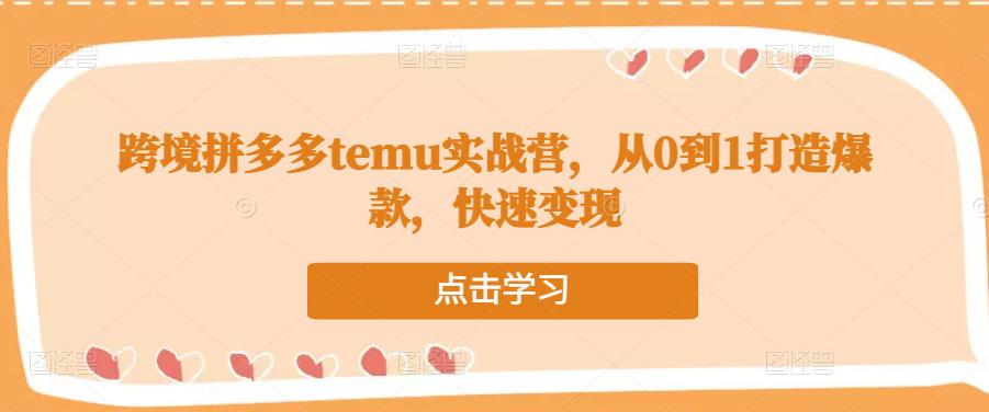 跨境拼多多temu实战营，从0到1打造爆款，快速变现-大东资源库