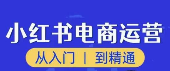 顽石小红书电商高阶运营课程，从入门到精通，玩法流程持续更新-大东资源库