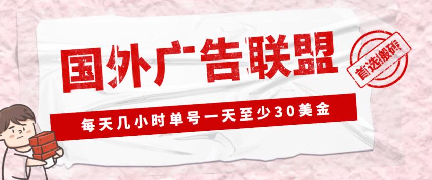 外面收费1980的最新国外LEAD广告联盟搬砖项目，单号一天至少30美金【详细玩法教程】-大东资源库