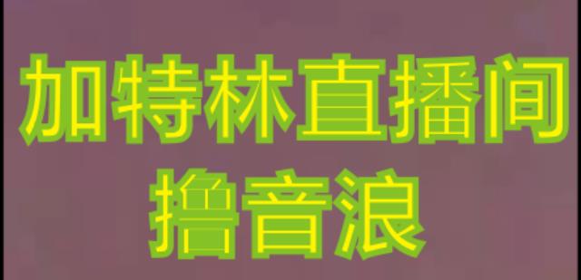 抖音加特林直播间搭建技术，抖音0粉开播，暴力撸音浪，2023新口子，每天800+【素材+详细教程】-大东资源库