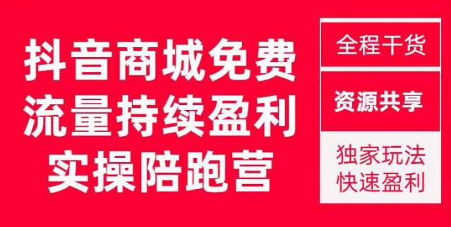 抖音商城搜索持续盈利陪跑成长营，抖音商城搜索从0-1、从1到10的全面解决方案-大东资源库