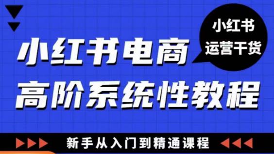 小红书电商高阶系统教程，新手从入门到精通系统课-大东资源库
