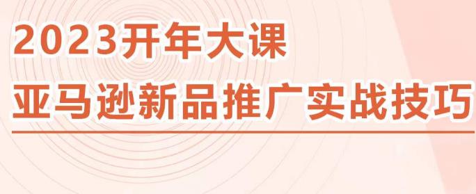 2023亚马逊新品推广实战技巧，线下百万美金课程的精简版，简单粗暴可复制，实操性强的推广手段-大东资源库