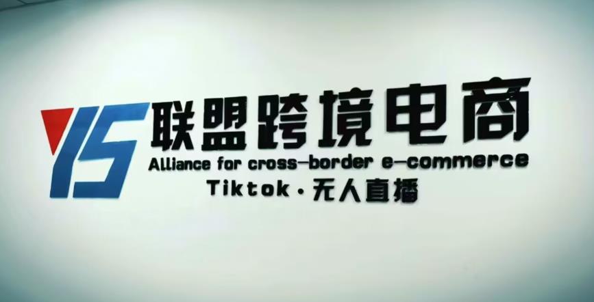 YS联盟·Tiktok无人直播，不出镜不剪辑不拍摄不发货无售后的跨境短视频躺赚玩法-大东资源库