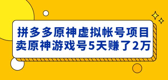 外面卖2980的拼多多原神虚拟帐号项目：卖原神游戏号5天赚了2万-大东资源库
