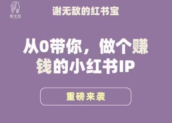 谢无敌·小红书运营大宝典,从0带你做个赚钱的小红书IP-大东资源库