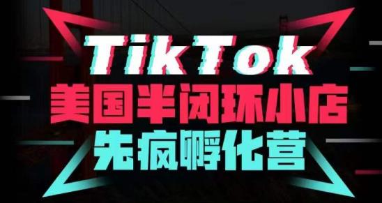 疯人院·TikTok美国半闭环小店孵化营，抢占TikTok美国蓝海市场，开店、运营、带货、投流全实操-大东资源库