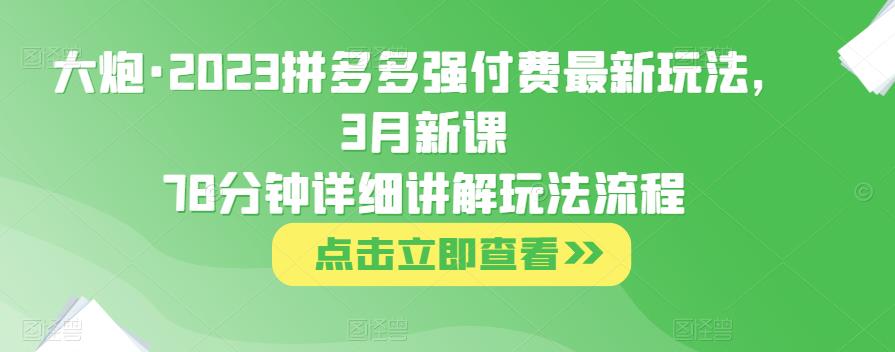 大炮·2023拼多多强付费最新玩法，3月新课​78分钟详细讲解玩法流程-大东资源库