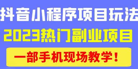 抖音小程序9.0新技巧，2023热门副业项目，动动手指轻松变现-大东资源库