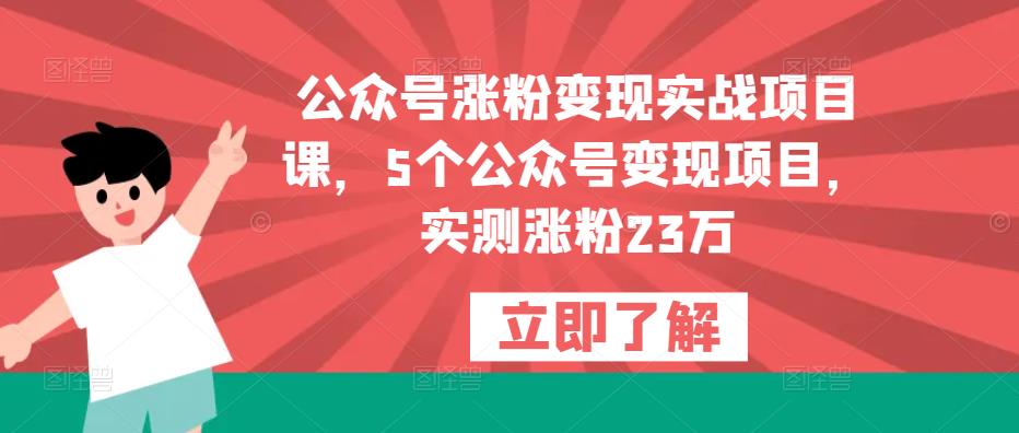 公众号涨粉变现实战项目课，5个公众号变现项目，实测涨粉23万-大东资源库