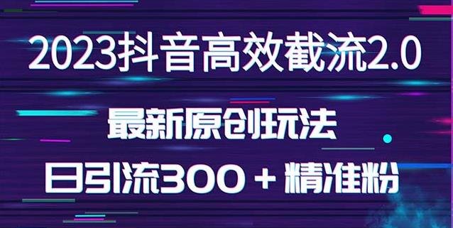 日引300＋创业粉，独家抖音高效截流2.0玩法（价值1280）-大东资源库