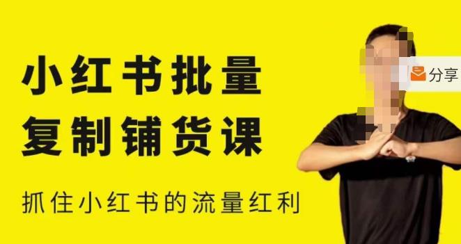 张宾·小红书批量复制铺货课，小红书0-1快速起号变现玩法，抓住小红书的流量红利（更新2023年3月）-大东资源库